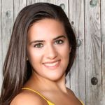 Discovery and engineering of a miniature CRISPR-Cas type V-L system