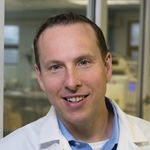 An Evaluation of the Growing Environment on the Production of Secondary Metabolites in Cannabis Plants