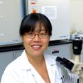 Yang Yang, PhD