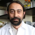 Keynote Presentation: A Newcastle Disease Virus-Based COVID-19 Vaccine with Live Q&A