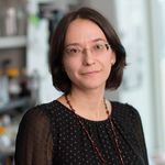 Panel Presentation: Longitudinal Mutational Landscape and Transcriptomic Analysis of Aggressive Uterine Leiomyosarcoma in a Patient with Exceptional Survival