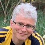 Null Models of Large Neural Networks