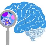 Symposium 1 - How Can Dynamical Systems Neuroscience Reciprocally Advance Machine Learning?