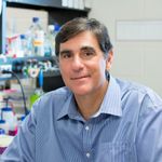 Keynote Presentation: Improving Research Translation in Dementia: Humanized Mouse Models, Cognition and Imaging with Live Q&A