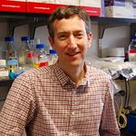 The Diagnostic & Clinical Impact of SARS-CoV-2 Variants