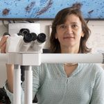 Neuropathology of SARS-CoV-2 as Revealed by Spatial Biology