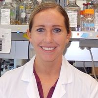 Professional Life at a Primarily Undergraduate Institution: My Journey and Lessons Learned