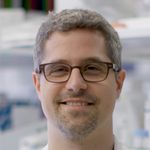 SARS-CoV-2 - Dynamics of the COVID-19 Epidemic