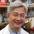 David T.W. Wong DMD, DMSc