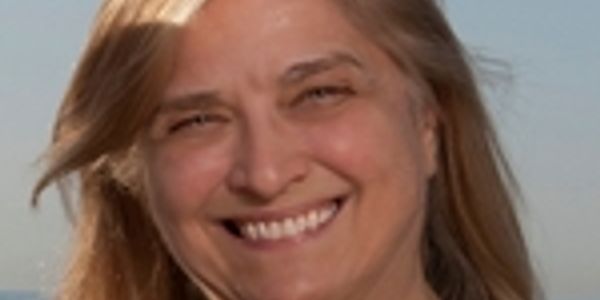 Age-Dependent Responses of Dendrite Structure to Hippocampal Synaptic Plasticity