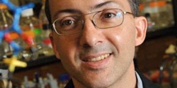 Precision Ferroptosis Inducers: Death by Lipid Peroxidation