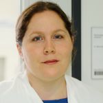 The Arenavirus-Host Cell Interface: At the Crossroads of Virus Replication, Host Cell Response and Pathogenesis