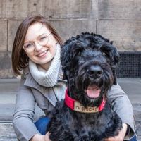 Breeding Against Complex Diseases in Dogs