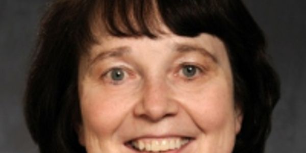 Interpretation of Hematology Veterinary Scattergrams in Normal and Pathologic Conditions