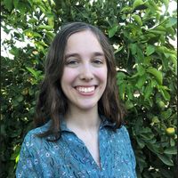 The Pathogen Acinetobacter Baumannii uses Light as a Signal for the Regulation of Virulence