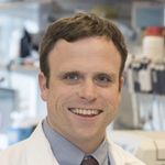 Host and Viral Transcriptomes During COVID-19 Infection