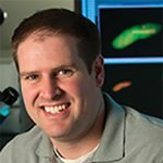 GFP Complementation Screening of the Yeast Inner Nuclear Membrane Proteome