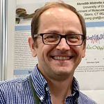 Insights into Aquatic Biofilm Dynamics by High-Throughput Identification of Bacterial Isolates and Full-Length 16S rRNA Gene Surveys