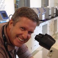 Personalized Medicine: The Role of Pharmacogenomics in Optimizing Drug Efficacy and Safety