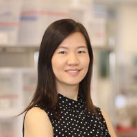 Advancing Neural Disease Modeling with Human iPSC-Derived Cell Systems