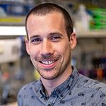 Deep mutational scanning of SARS-CoV-2 receptor binding domain reveals constraints on folding and ACE2 binding