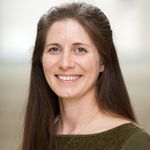 Developing a Suite of High-throughput Screens for Use in Engineering Bacterial Protein Secretion