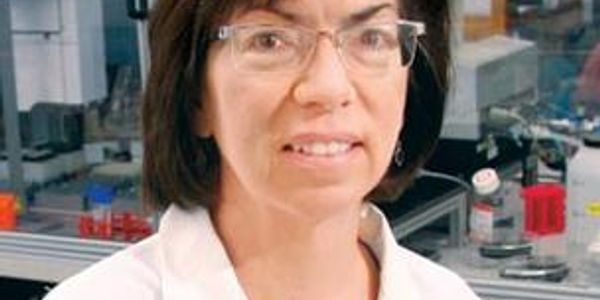 Abeta oligomer receptor antagonists as disease-modifying Alzheimers therapeutics