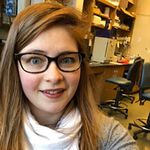 Cell Cycle Regulation of Morphogenetic Processes during Development