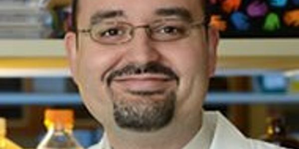 Transcriptome sequencing in translational oncology research