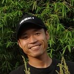 Identification of genetic loci associated with self-compatibility, pre-harvest sprouting and maturity time using AmpliSeq technology in common buckwheat (Fagopyrum esculentum)