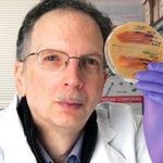 Cellular regulation of the molecular chaperone HSP90 by posttranslational modifications - impact on function and drug sensitivity