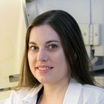 Immune-Mediated Pathologies During Dengue Virus Infection