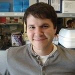 Industry uses of human pluripotent stem cells