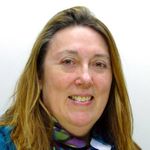 The complexities of importing and exporting research fish, with emphasis on Europe