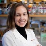 Metabolic reprogramming: links to the epigenome