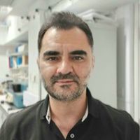 SimPLIT: Simplified sample preparation for large-scale isobaric tagging proteomics