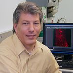 Human In Vitro Vascularized Tissue Models