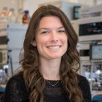 Mapping Communication Dynamics Between Physically Interacting Cells Using Hybrid Quantitative Proteomics