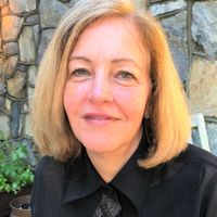 Reducing Disparities in Health and Mental Health Care: Interventions throughout the Life Cycle