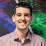 LED Illumination in Life Science Research