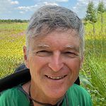 Control of Helicobacter Pylori with Engineered Probiotics Secreting Selective Guided Antimicrobial Peptides