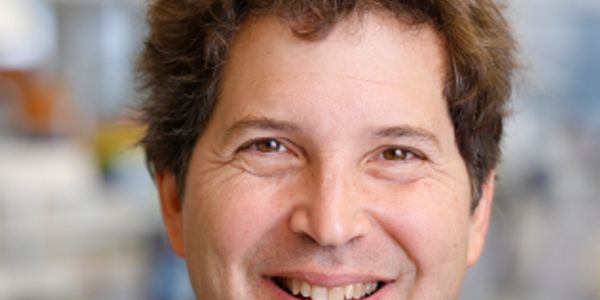 Design of protein structures, functions and assemblies