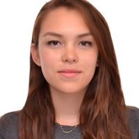 Magnetic and Mechanical Characterization of Additive Manufactured Strontium Ferrite/Polyamide 12 Composites Using Twin-Screw and Single-Screw Extrusion