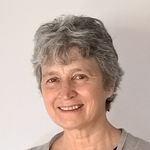 Plant Defense and Viral Counter-Defense Mechanisms Regulating Symptom Recovery, an Inducible Form of Plant Tolerance to Virus Infection