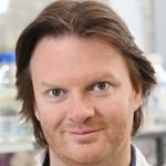 Antibody-based Proteomics: Fast-Tracking Molecular Diagnostics and Target Discovery in Oncology