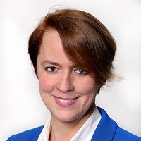 Mouse Models of Alzheimer's Disease: New Behavioral Approaches