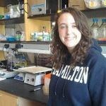 The axolotl salamander as a model for nerve-dependent regeneration