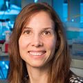 Sandra Milasta, PhD