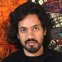 Neural Mechanisms of Performance Evaluation in Singing Birds