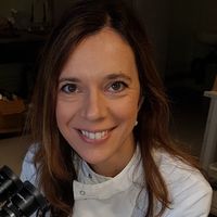 When good cells go bad: Causes and consequences of aneuploidy in human pluripotent stem cells